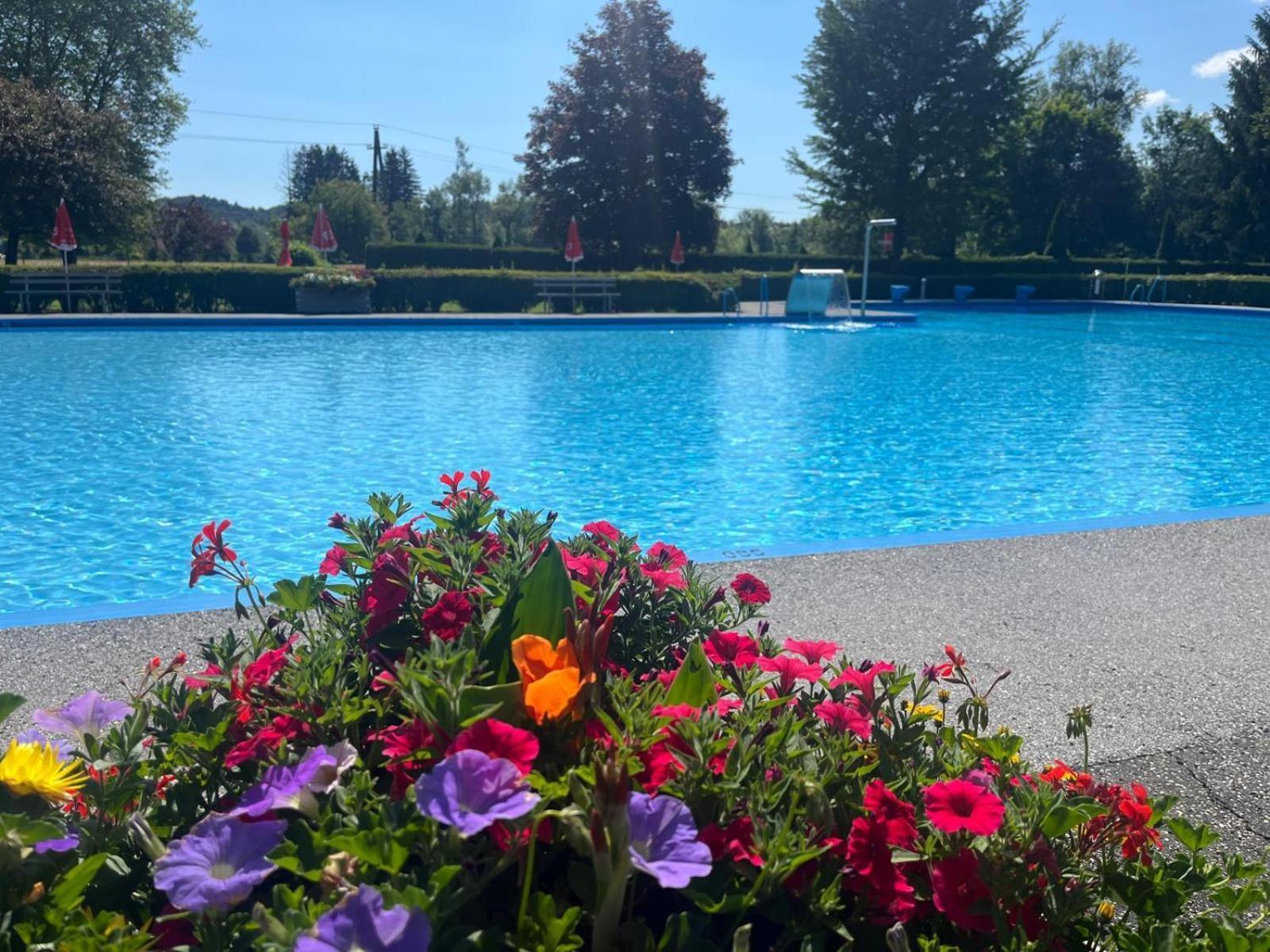 Ferienwohnung Am Freibad ロイトシャッハ エクステリア 写真